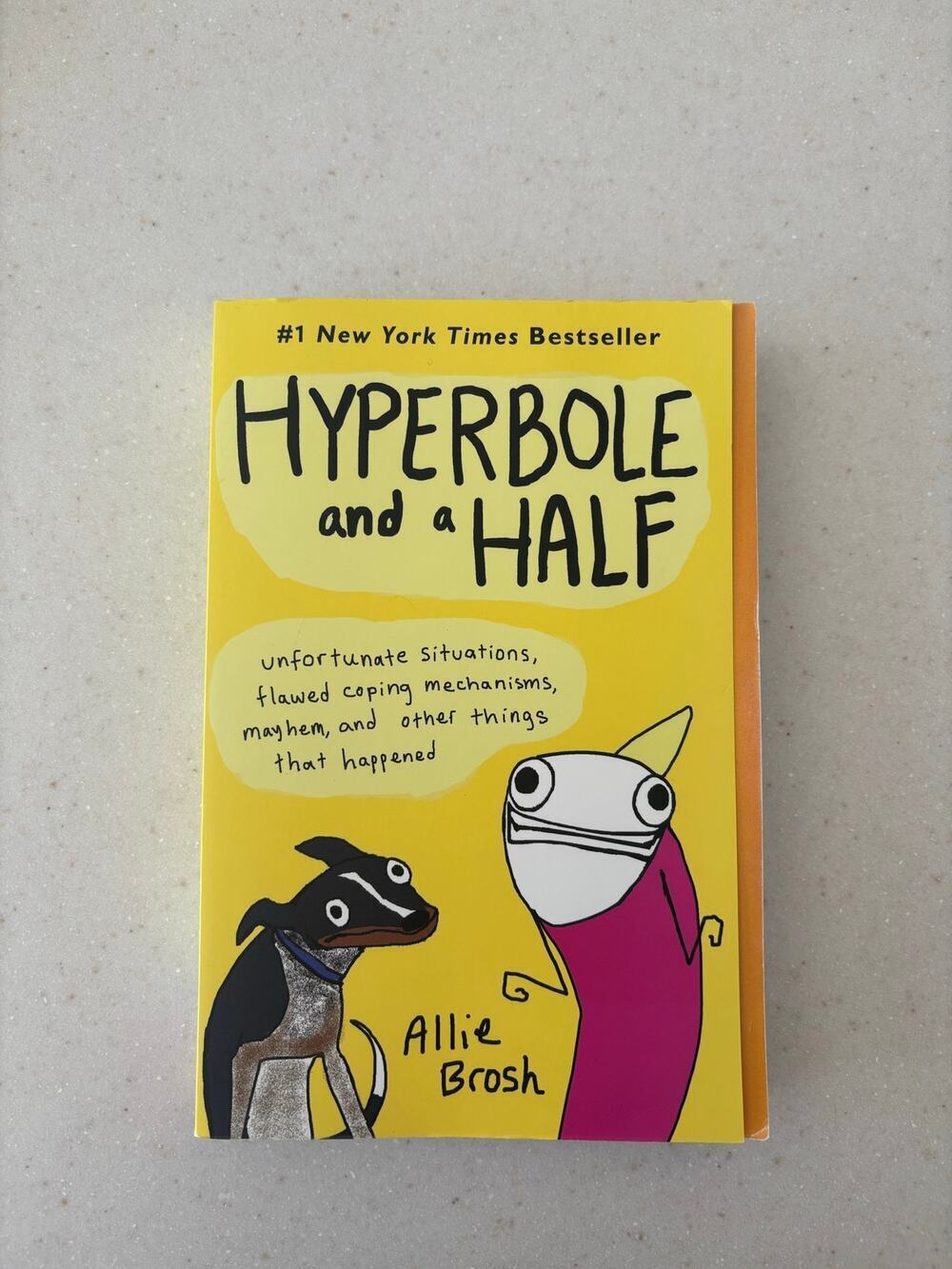 Hyperbole and a Half Allie Brosh Paperback Humor Memoir Graphic Novel Book